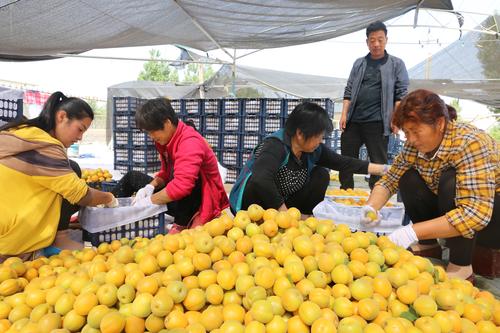                              王耀华 首台国产“环保眼睛”的研发者                        